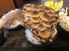 现摘松香菇-火鳳祥美蛙牛肉自助(青悦城店)