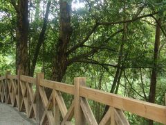 DSC03520-广州市流溪河国家森林公园