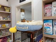 -四月宠物医院·猫专科·心脏专科·内科(转塘店)