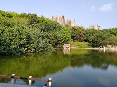 -深圳国际园林花卉博览园