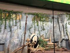 -深圳野生动物园