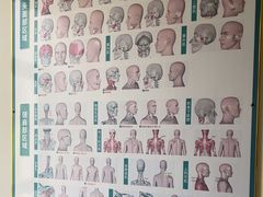 -通透堂中医·精准推拿(旗舰店)