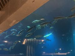-海棠湾洲际-涛·海底餐厅·美人鱼·自助餐·海底隧道