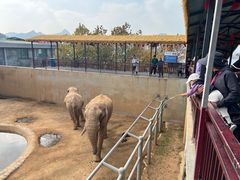 -西霞口神雕山野生动物世界