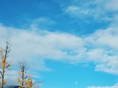 -章水镇文体中心