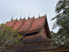 -西双版纳傣族园