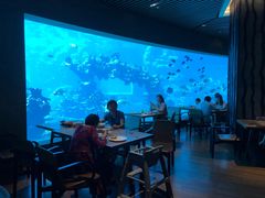 -海棠湾洲际-涛·海底餐厅·美人鱼·自助餐·海底隧道