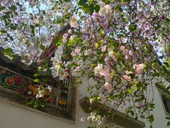 -深圳国际园林花卉博览园