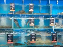 -海味当家·蒸锅海鲜(星海公园店)