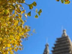 -北京石刻艺术博物馆(五塔寺)
