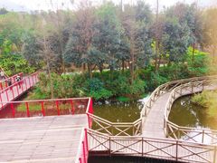 -东部华侨城
