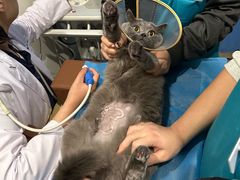 -美迦爱-牙专科·兔科·骨科诊疗中心(北苑店)