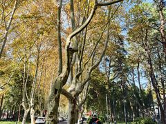 -浙江大学(玉泉校区)