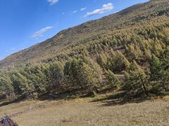 -莫尔道嘎国家森林公园