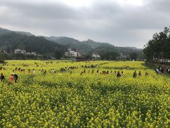 -红山村