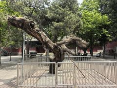 -大钟寺古钟博物馆