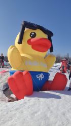 -268童话露营农场·烧烤·团建