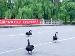-东华大学(松江校区)