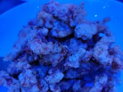 -上和臻品中国菜(花园街店)