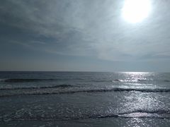 -北海金海湾红树林生态旅游区