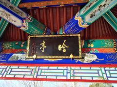 -近春园遗址