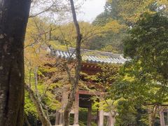 -醍醐寺