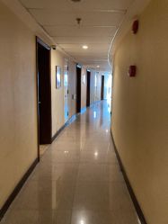 -明星刺青·洗纹身