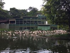 iphone_upload_pic-新加坡飞禽公园