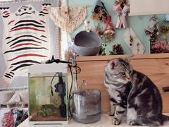 -平行世界·猫咖(首经贸店)