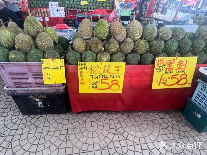 芽笼图片