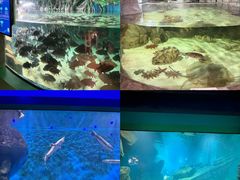 -福州罗源湾海洋世界旅游区