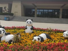 -辛玛王国游乐园