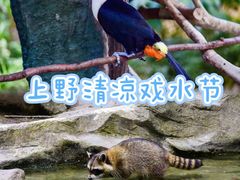 -上海野生动物园