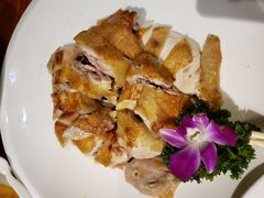 招牌煎焗扇鸡-顺德了能馆(虎门店)