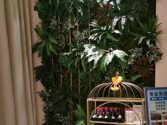-泰乐道·SPA·按摩·足道(坡子街店)
