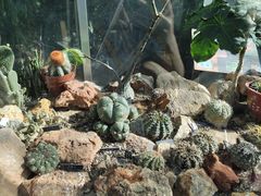 -国家植物园南园