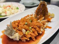 -姑苏家宴·苏帮菜·松鼠桂鱼(苏州总店)