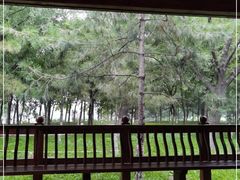 -大兴滨河森林公园