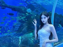 -波塞冬海底世界
