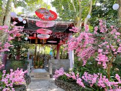 -海口观澜湖火山温泉谷