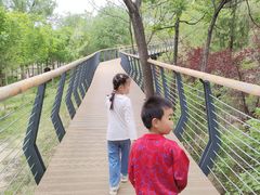 -白水寺森林公园