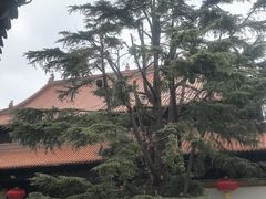 -迎江寺