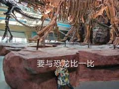 -安徽省地质博物馆