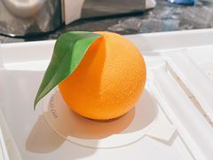 -TD66高山铁皮石斛养生茶饮