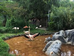 -昆明动物园