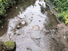 -重庆彩云湖湿地公园