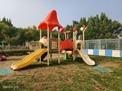 -廊坊固安福朋喜来登酒店