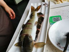 -胖师鱼馆非遗砂锅雅鱼(大北街店)