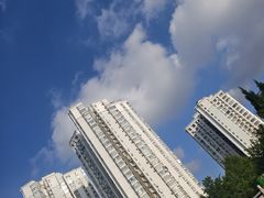 -老板恋上鱼(高新万达店)