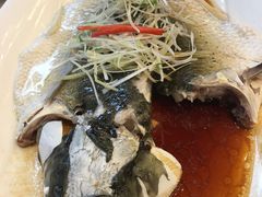 清蒸山坑鲩鱼-太子园林酒家